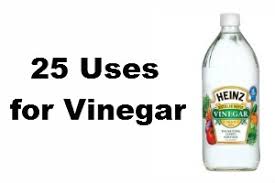25 uses for white vinegar slap dash mom