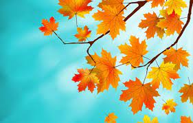 wallpaper leaves background autumn