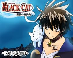 Pin By Feliz On Anime Black Cat Anime