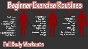 basic exercises workout