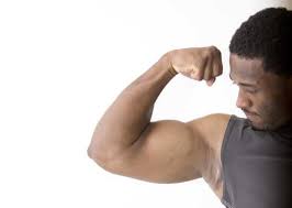 big arms fast a scientific approach