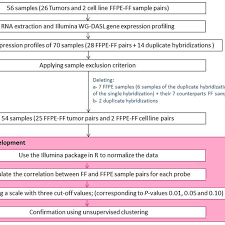 Flow Chart Of The Method Followed To Analyze Ffpe Ff Sample