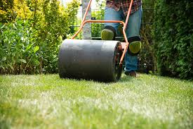 There are different methods of aeration that you should consider before taking to the garden to start the work. Lawn Care 101 Aerating Rolling A Touch Of Dutch Landscaping Garden Services Ltd