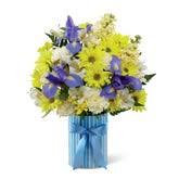 Check spelling or type a new query. Bluebell New Baby Boy Bouquet At Send Flowers