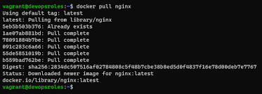 docker install nginx container