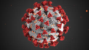 Madagascar / Coronavirus: Le pays enregistre son premier décès dû à la  maladie - YELE-MAGAZINE