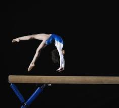 the types of gymnastics from artistic