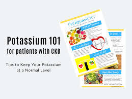 potium 101 for patients with kidney