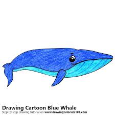 cartoon blue whale cartoon s