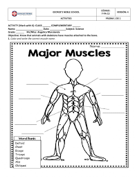 Some muscle names indicate the number of muscles in a group. Muscles Online Worksheet For 3