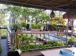 A Flourishing Rooftop Garden In Quezon