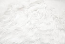 fur carpet images browse 75 847 stock