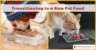 Image result for cat and dog food brands