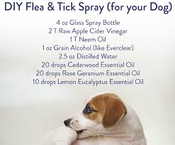 ticks diy spray revive essential oils