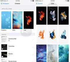 6s plus live wallpapers on iphone 6
