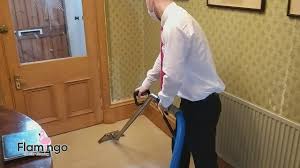 carpet cleaning services flamingo