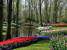 garden tours in holland