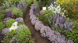 ideas about outdoor herb garden