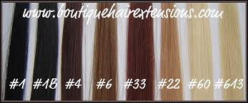 New Hair Color Hair Extensions Color Within Multi Color Hair