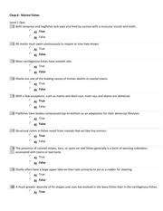 Graphing Practice Problems Worksheets