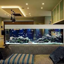 Are you an Aquarist? Here Are Some Ways To Incorporate An Aquarium In Your Home  Design! — Hipcouch | Complete Interiors & Furniture gambar png