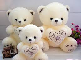 profile cute teddy bear images for