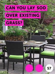 All seems with soil should be filled and then tamp it down. How To Lay Sod Over Existing Lawn Arxiusarquitectura