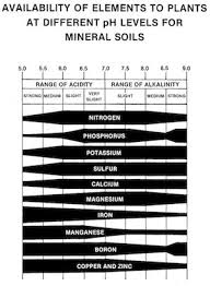 Soil Ph And Why It Matters