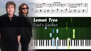 fool s garden lemon tree piano