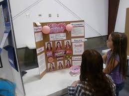 emery district science fair brings out