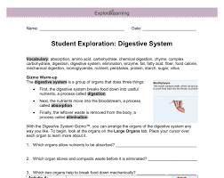 Create the digestive system shown. Student Exploration Digestive System Gizmo Answers Key Switch On Learning Two Great New Gizmos You Must First Balance The Chemical Equation To Determine The Limiting Aang Ngen