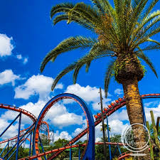 busch gardens ta tips family