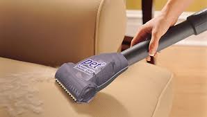 remove pet dander from upholstery
