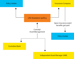 Life Insurance Policy | Term Life Insurance Quotes - WordPress.com gambar png