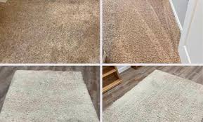 elite carpet care from 100 omaha