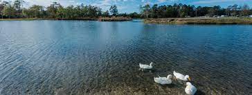 Little lake rv park is situated northwest of new caney, close to dry creek. Little Lake Charles Rv Resort Home Facebook
