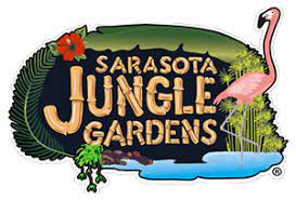 sarasota jungle gardens sarasota s