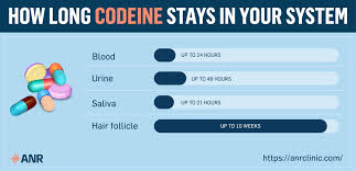 how long does codeine stay in your