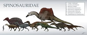Spinosauridae Size Chart By Definetilynotpedro Prehistoric