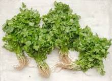 Does parsley detox the body?