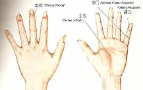 Acupressure Points For Premature Greying Grey Hair