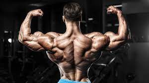 7 best back and biceps workouts for