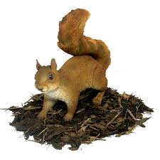 red squirrel resin garden ornament