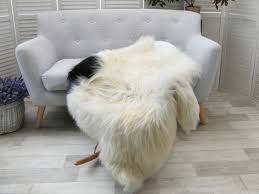 white black icelandic sheepskin rug