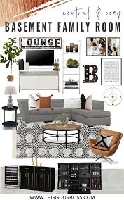 Cozy Basement Family Lounge Design
