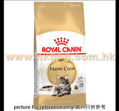 royal canin maine cat food