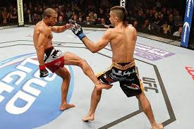 EXPLAINED] What Are Leg Kicks & Why Do They Hurt So Much?