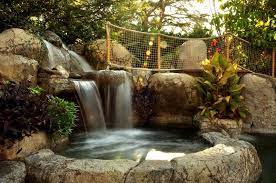 Backyard Waterfall Design Ideas