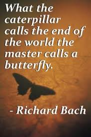 Butterflies on Pinterest | Butterfly Quotes, Wings and Butterfly ... via Relatably.com