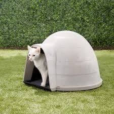 15 best cat houses and condos 2019